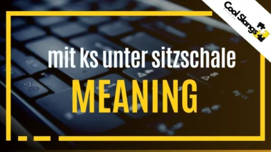 what is mit ks unter sitzschale Meaning