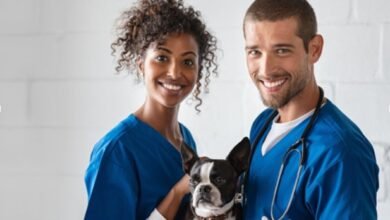 6 Reasons Why Every Pet Owner Should Take a Pet First Aid Class