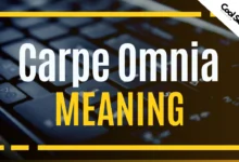 What does Carpe Omnia mean?