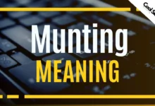 Munting Meaning