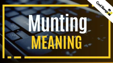 Munting Meaning