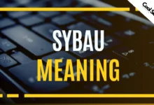 What does SYBAU mean?