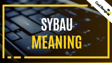 What does SYBAU mean?