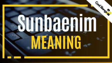 Sunbaenim Meaning