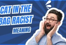 Decoding meaning of Cat in the Bag Racist