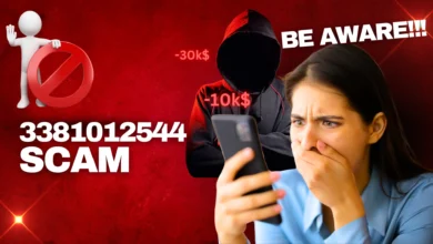 What Is 3381012544?