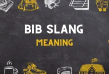 BIB slang Meaning