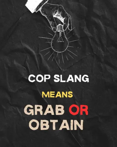 COP slang meaning