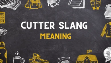 Cutter slang Meaning