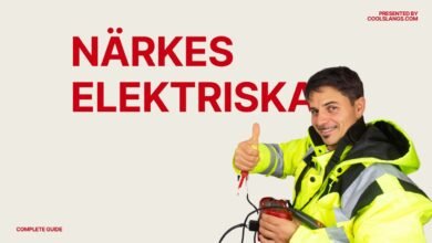 närkes elektriska Complete Review