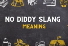 No Diddy slang meaning