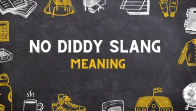 No Diddy slang meaning
