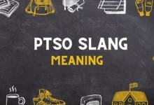 PTSO slang Meaning