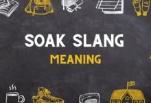 SOAK slang Meaning