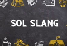 SOL slang meaning