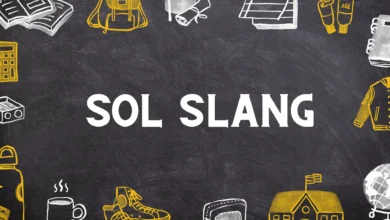 SOL slang meaning