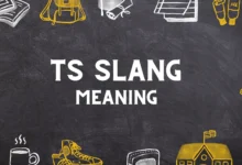 what does TS means in slang?
