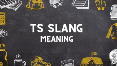 what does TS means in slang?