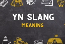 Y/N slang meaning