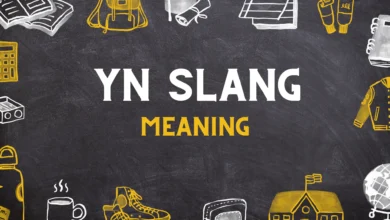 Y/N slang meaning