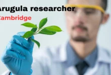 Who are Arugula Researcher at Cambridge?