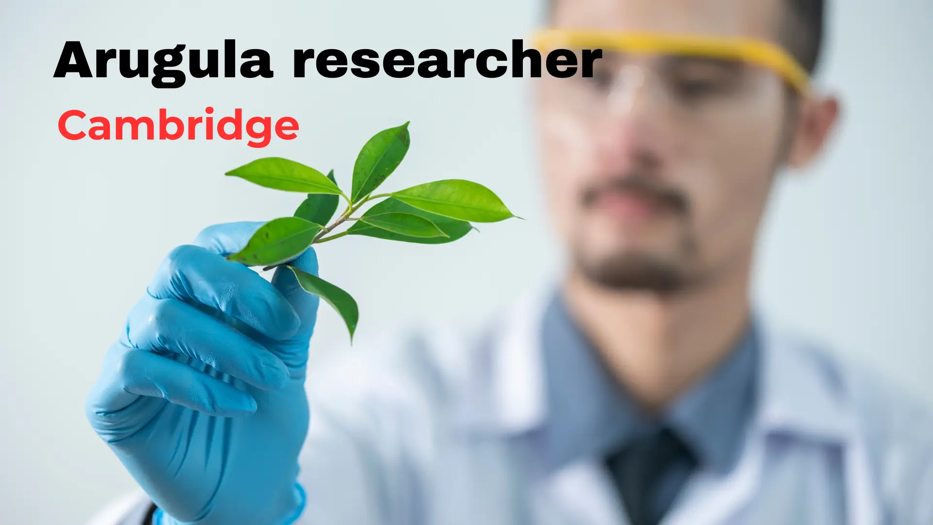 Who are Arugula Researcher at Cambridge?