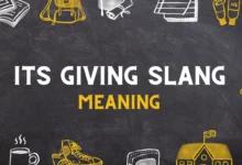 Its giving slang Meaning