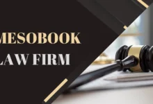 mesobook law firm