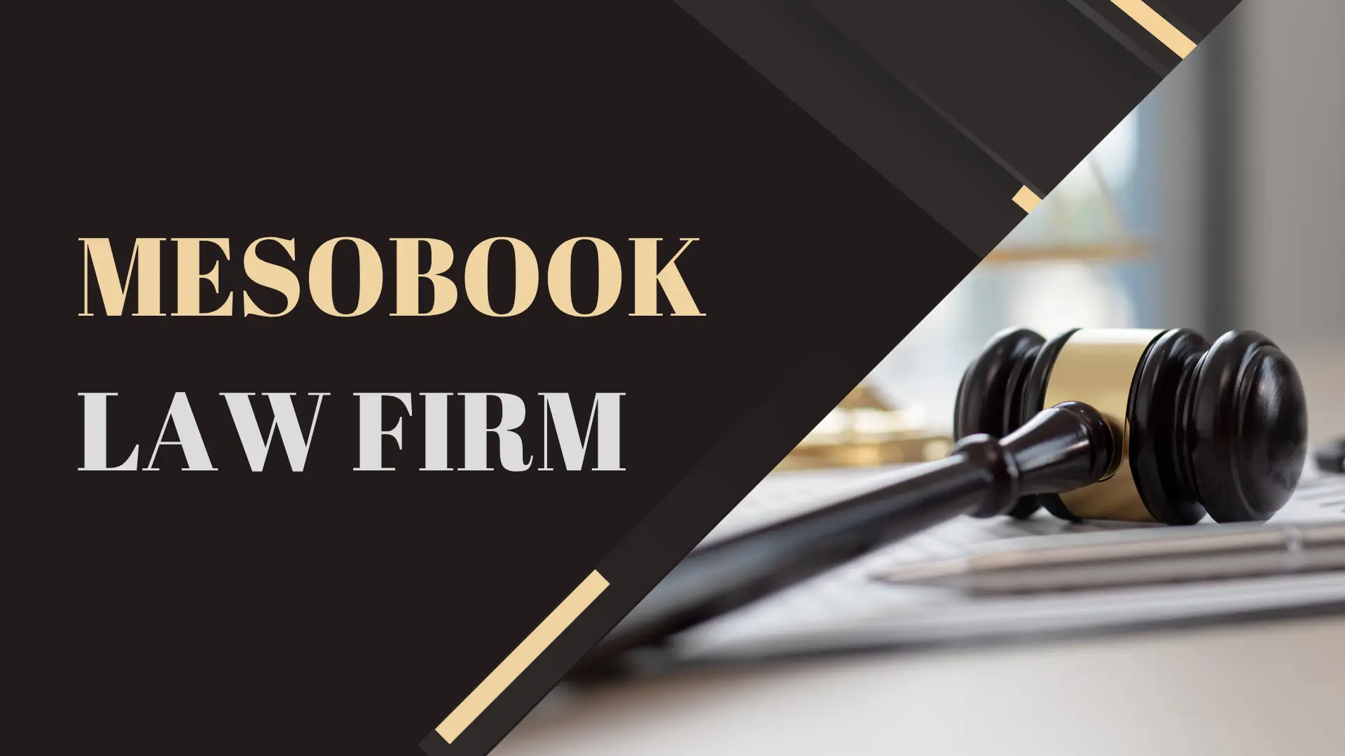 mesobook law firm