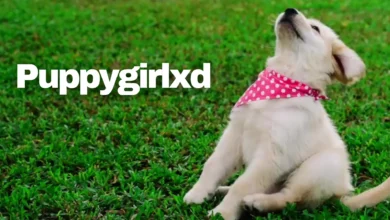 puppygirlxd