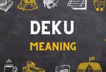 Deku Meaninig in Japanese Culture