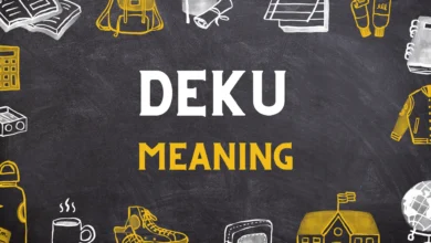 Deku Meaninig in Japanese Culture