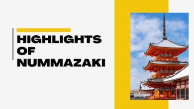 Highlights Of Nummazaki