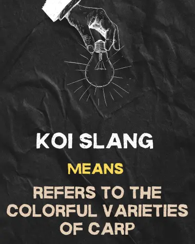 KOI Slang refers to the colorful varieties of carp