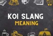 KOI slang Meaning