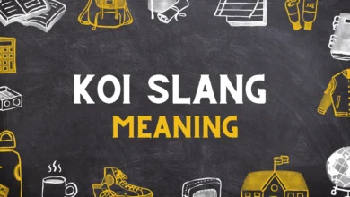 KOI slang Meaning