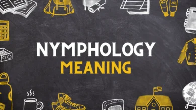 Nymphology slang Meaning