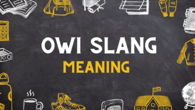 OWI Meaning in slang