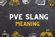 PVE Meaning in gaming slang