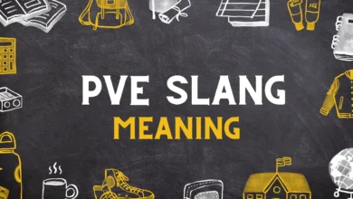 PVE Meaning in gaming slang
