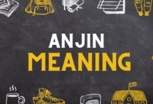 anjin meaning In Slang