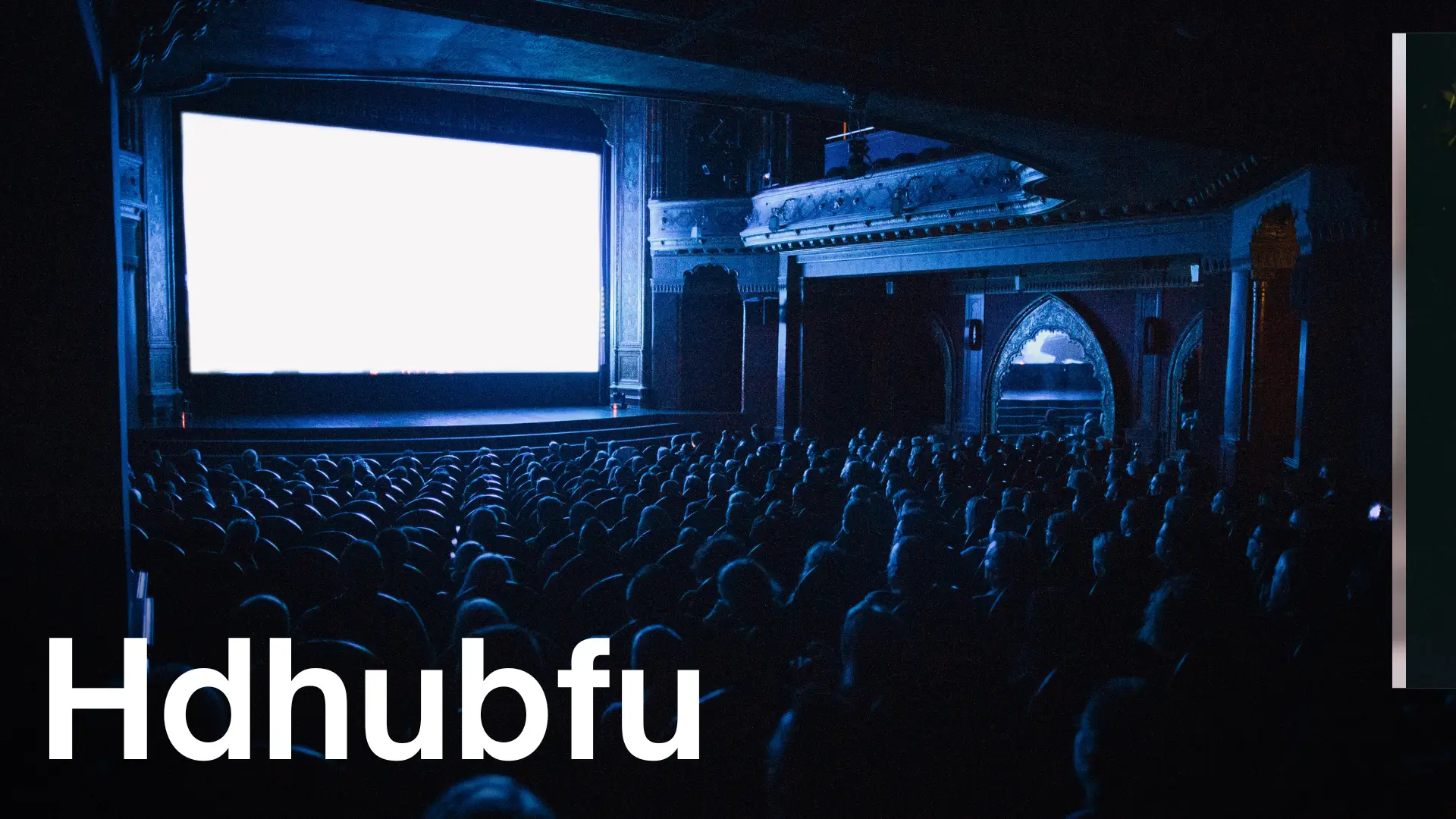 hdhubfu