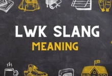 lwk Meaning in Slang