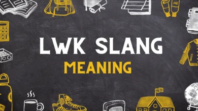 lwk Meaning in Slang