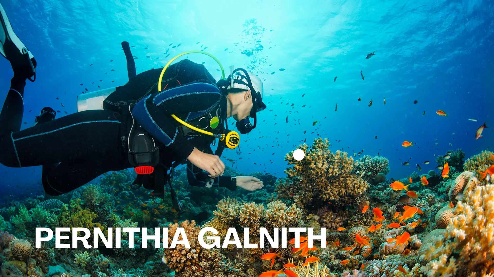 Pernithia Galnith