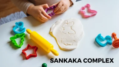 sankaka complex