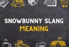 snowbunny slang Means a young woman who enjoys skiing