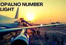 zopalno number flight