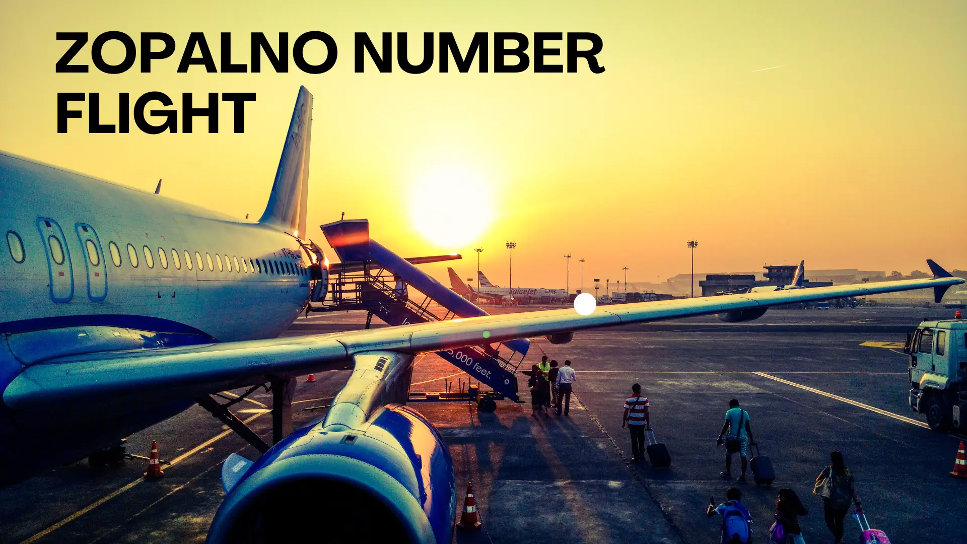 zopalno number flight