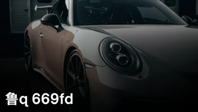 鲁q 669fd